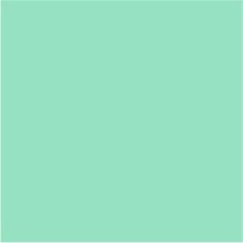 Load image into Gallery viewer, Square Thermal Care Wheat bag + case 10&quot; x 11&quot; Cotton Flannel